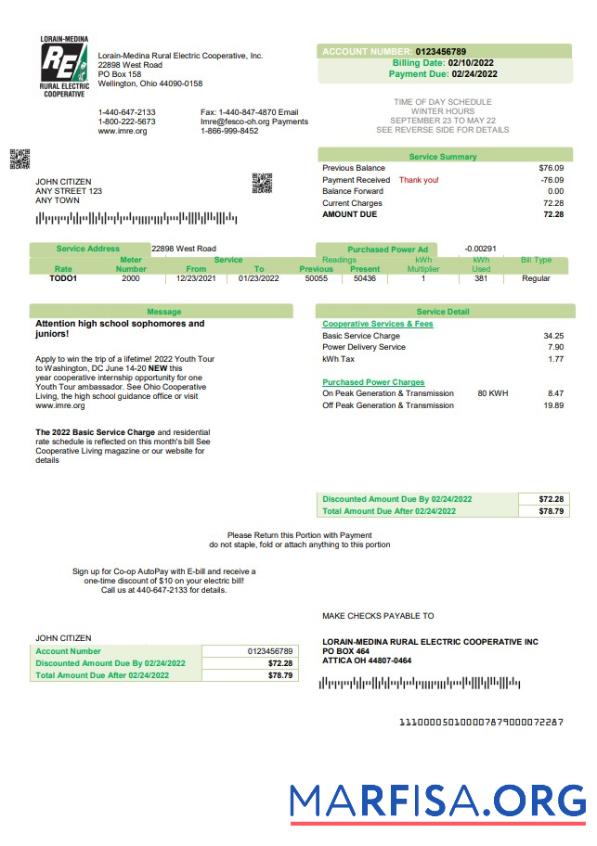 Printable USA Ohio Lorain Medina Rural Electric utility bill template in Word and PDF format